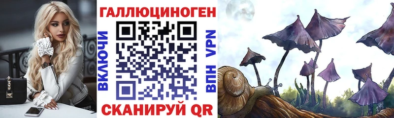 Псилоцибиновые грибы GOLDEN TEACHER  OMG как зайти  Любим  как найти  